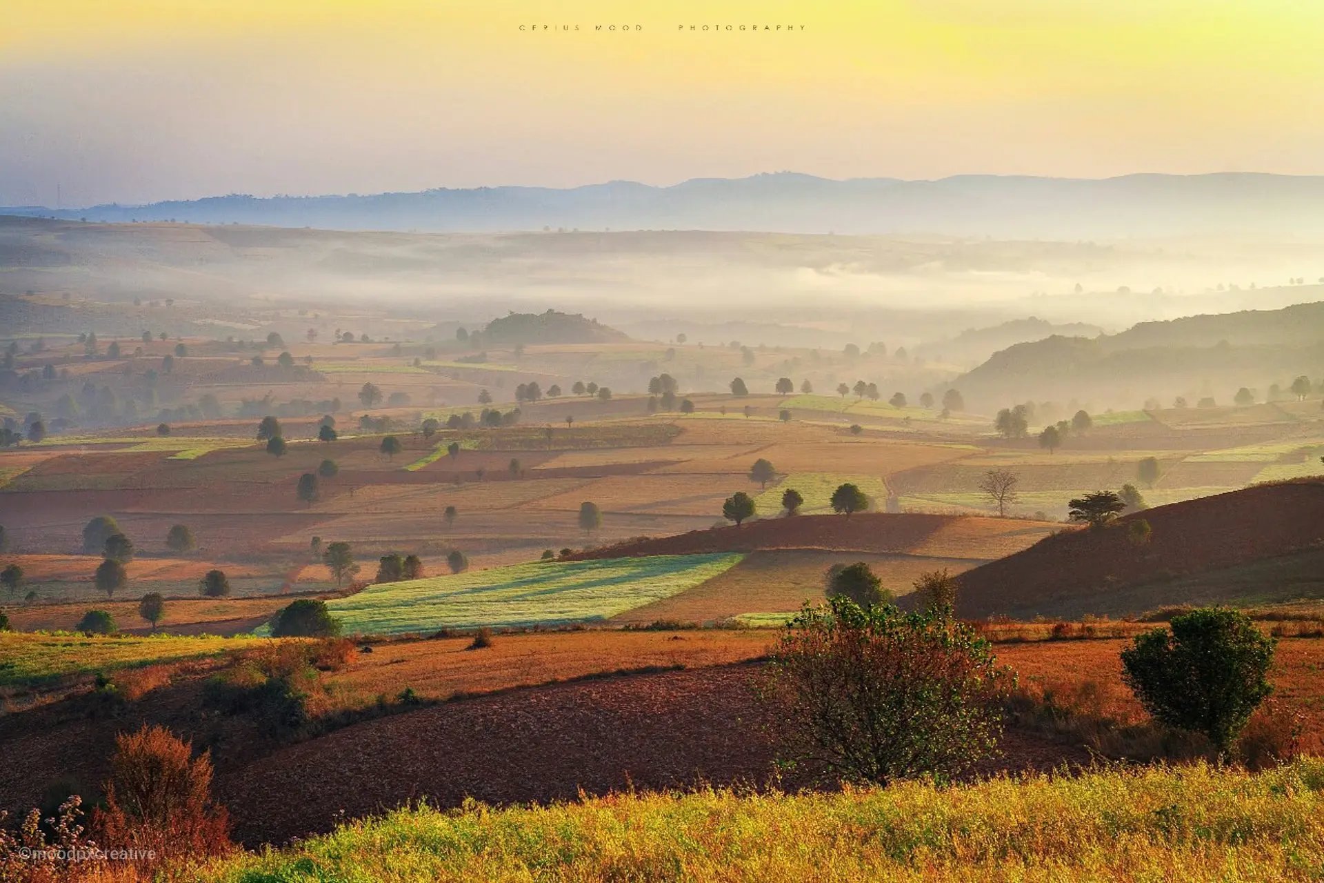 At a breathtaking sunrise, fog is sweeping across the colorful farms in Shan State, Myanmar.