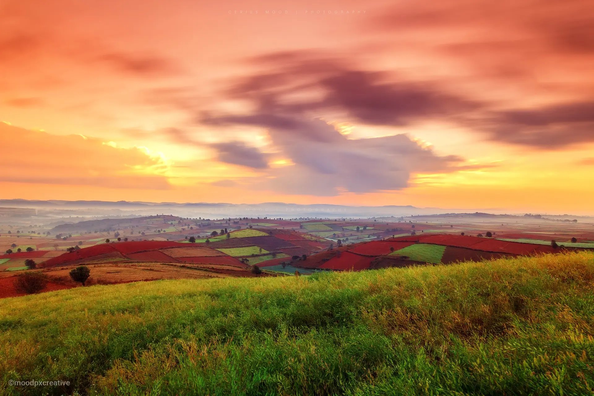 A Beautiful Colorful Field at Sunrise - Shan State